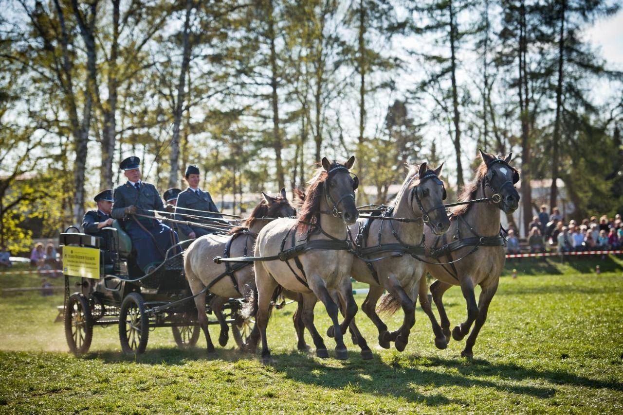 Domek Trolla Sierakow  Extérieur photo